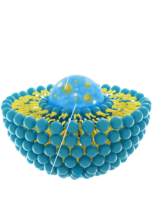 ФАБИТОЛ - упаковка